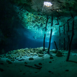Vue verticale de racines pendantes et d’un puits de lumière au plafond d’un cénote, Quintana Roo, Mexique