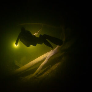 Diver lighting sunken branches above a yellowish hazy layer in a cenote, Cenote Angelita, Quintana Roo, Mexico
