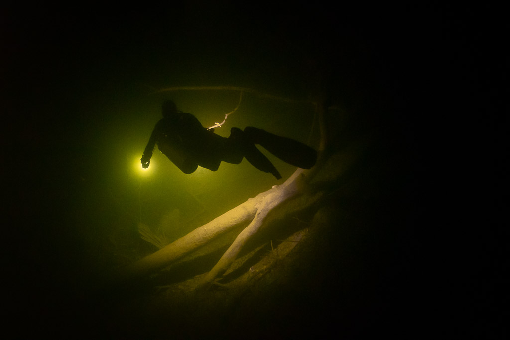 Diver lighting sunken branches above a yellowish hazy layer in a cenote, Cenote Angelita, Quintana Roo, Mexico