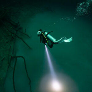 Diver with torch hovering above dead branches in a green cenote, Cenote Angelita, Quintana Roo, Mexico