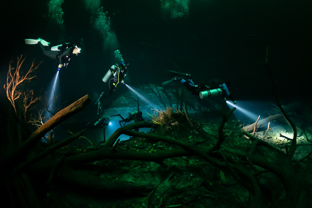 Trois plongeurs avec phares explorant des arbres immergés dans un cénote profond, cénote Angelita, Quintana Roo, Mexique