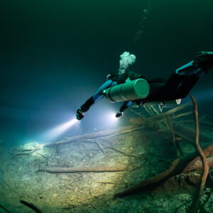 Sidemount diver with torch swimming over a tangle of sunken branches, Cenote Angelita, Quintana Roo, Mexico