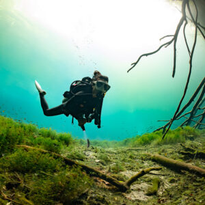Diver hovering above algae-covered slope under hanging roots in a cenote, Quintana Roo, Mexico