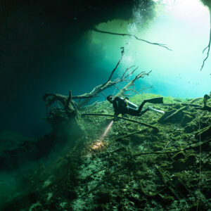 Diver with torch below a jungle of hanging roots near a cenote opening, Quintana Roo, Mexico