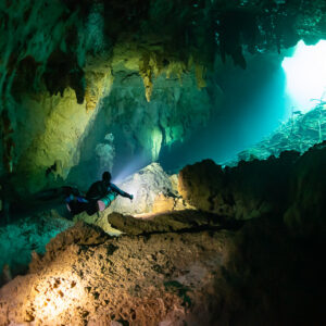 Diver silhouetted in a cavern exit with daylight and roots beyond, Quintana Roo, Mexico