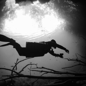 Black and white silhouette of a diver swimming over branches under the surface, Quintana Roo, Mexico