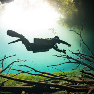 Diver silhouetted against sunlit water above branches and green algae, Quintana Roo, Mexico