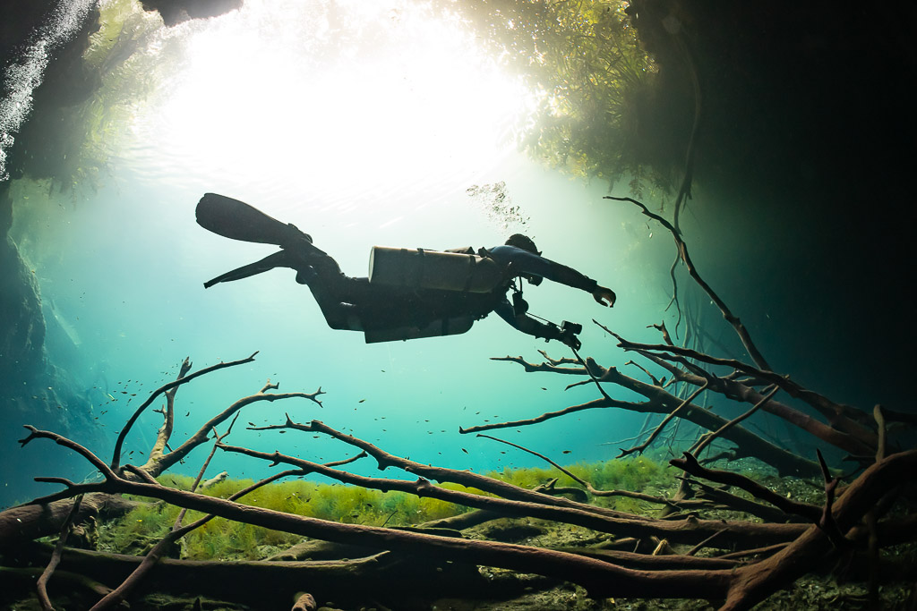 Diver silhouetted against sunlit water above branches and green algae, Quintana Roo, Mexico