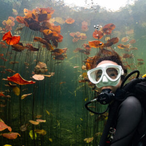 Smiling diver in white mask surrounded by red water lily leaves, Quintana Roo, Mexico