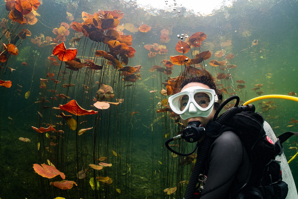 Smiling diver in white mask surrounded by red water lily leaves, Quintana Roo, Mexico