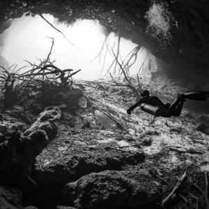 Black and white diver over rocks below a root-filled cenote opening, Quintana Roo, Mexico
