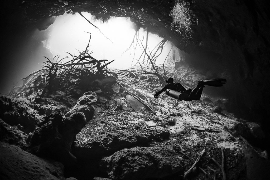 Black and white diver over rocks below a root-filled cenote opening, Quintana Roo, Mexico