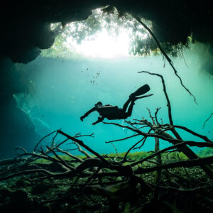 Diver silhouetted over dead branches beneath a jungle-fringed cenote opening, Quintana Roo, Mexico