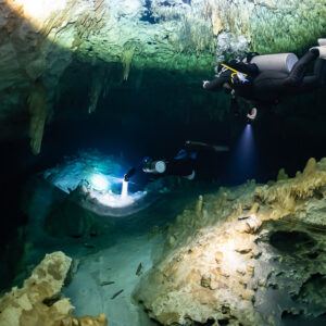 Two divers, one lighting a bright patch near the cenote surface, Quintana Roo, Mexico