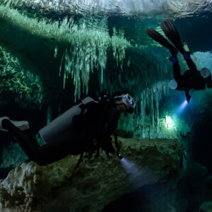 Two divers under stalactite curtains near the cenote surface, Quintana Roo, Mexico