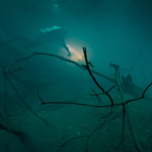 Bare branches in a hazy layer with a distant diver and torch glow, Cenote Angelita, Quintana Roo, Mexico