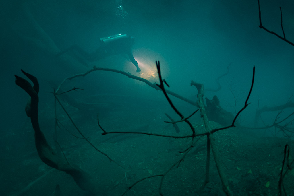 Bare branches in a hazy layer with a distant diver and torch glow, Cenote Angelita, Quintana Roo, Mexico