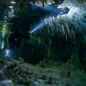 Cave diver lighting a forest of stalactites hanging from the ceiling, Quintana Roo, Mexico