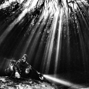 Black and white diver under radiating sunbeams through mangrove roots, Casa Cenote, Quintana Roo, Mexico