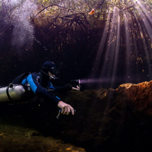 Sidemount diver with torch under violet sun rays and mangrove roots, Casa Cenote, Quintana Roo, Mexico
