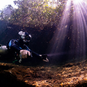 Sidemount diver close to camera under fanning sunbeams in a cenote, Casa Cenote, Quintana Roo, Mexico