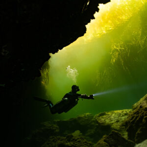 Diver small in frame beneath a dark overhang and green mangrove light, Casa Cenote, Quintana Roo, Mexico