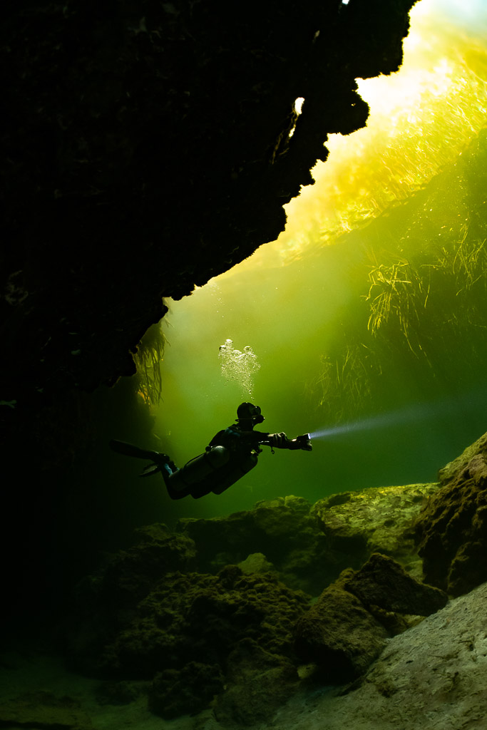 Plongeur minuscule dans le cadre sous un surplomb sombre et une lumière verte de mangrove, Casa Cenote, Quintana Roo, Mexique