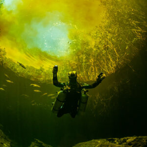 Diver rising toward a bright yellow-green cenote surface, Casa Cenote, Quintana Roo, Mexico