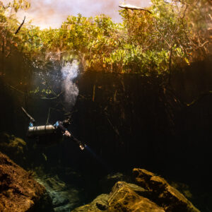 Sidemount diver exhaling bubbles below a mangrove canopy in a cenote, Casa Cenote, Quintana Roo, Mexico