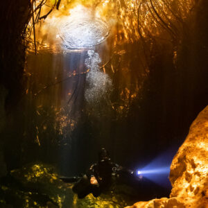 Diver with torch beneath golden sunbeams in a mangrove cenote, vertical, Casa Cenote, Quintana Roo, Mexico