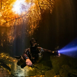 Sidemount diver with blue torch below a golden sunburst through mangroves, Casa Cenote, Quintana Roo, Mexico