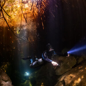 Diver with torch beside rocks under violet mangrove light, vertical, Casa Cenote, Quintana Roo, Mexico