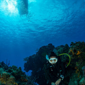 Woman diver on a coral reef with a dive boat silhouette above, Cozumel, Quintana Roo, Mexico