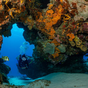 Diver seen through a coral arch encrusted with colourful sponges, Cozumel, Quintana Roo, Mexico