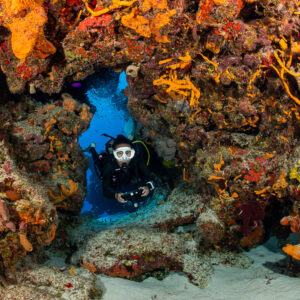 Woman diver peering through a swim-through framed by orange sponges, Cozumel, Quintana Roo, Mexico
