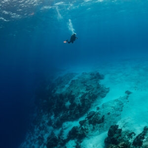 Lone diver descending toward a reef edge in deep blue water, Cozumel, Quintana Roo, Mexico