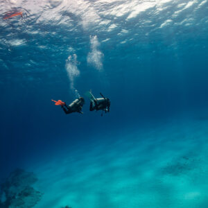 Two divers with orange fins swimming over a sandy bottom, Cozumel, Quintana Roo, Mexico