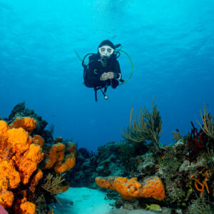 Woman diver facing the camera in a sandy channel between sponge-covered reefs, Cozumel, Quintana Roo, Mexico