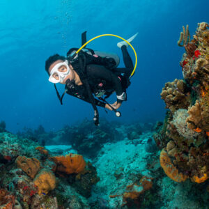 Woman diver smiling beside a reef wall with orange sponges, Cozumel, Quintana Roo, Mexico