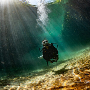 Diver in sun rays streaming into a cenote channel, close view, Casa Cenote, Quintana Roo, Mexico