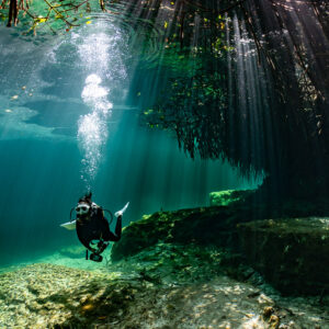 Diver under a mangrove canopy with rising bubbles and light rays, Casa Cenote, Quintana Roo, Mexico