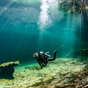 Diver in a cenote under sunbeams and mangrove roots, Casa Cenote, Quintana Roo, Mexico