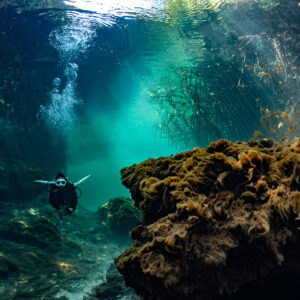 Diver swimming past a mossy rock in a bubble-filled turquoise channel, Casa Cenote, Quintana Roo, Mexico
