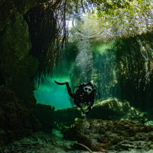 Diver emerging from a mangrove-shaded passage, vertical view, Casa Cenote, Quintana Roo, Mexico