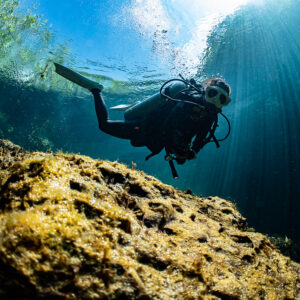 Woman diver gliding over a golden rock under sunbeams, Casa Cenote, Quintana Roo, Mexico