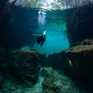 Diver at the end of a turquoise channel below mangrove roots, Casa Cenote, Quintana Roo, Mexico
