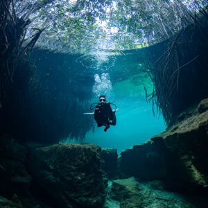 Distant diver in a turquoise basin under hanging roots, vertical, Casa Cenote, Quintana Roo, Mexico