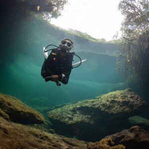 Diver facing the camera in a green cenote basin under trees, Casa Cenote, Quintana Roo, Mexico