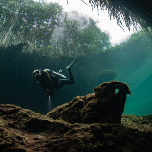 Diver with torch above rocks under a mangrove-fringed cenote opening, Casa Cenote, Quintana Roo, Mexico