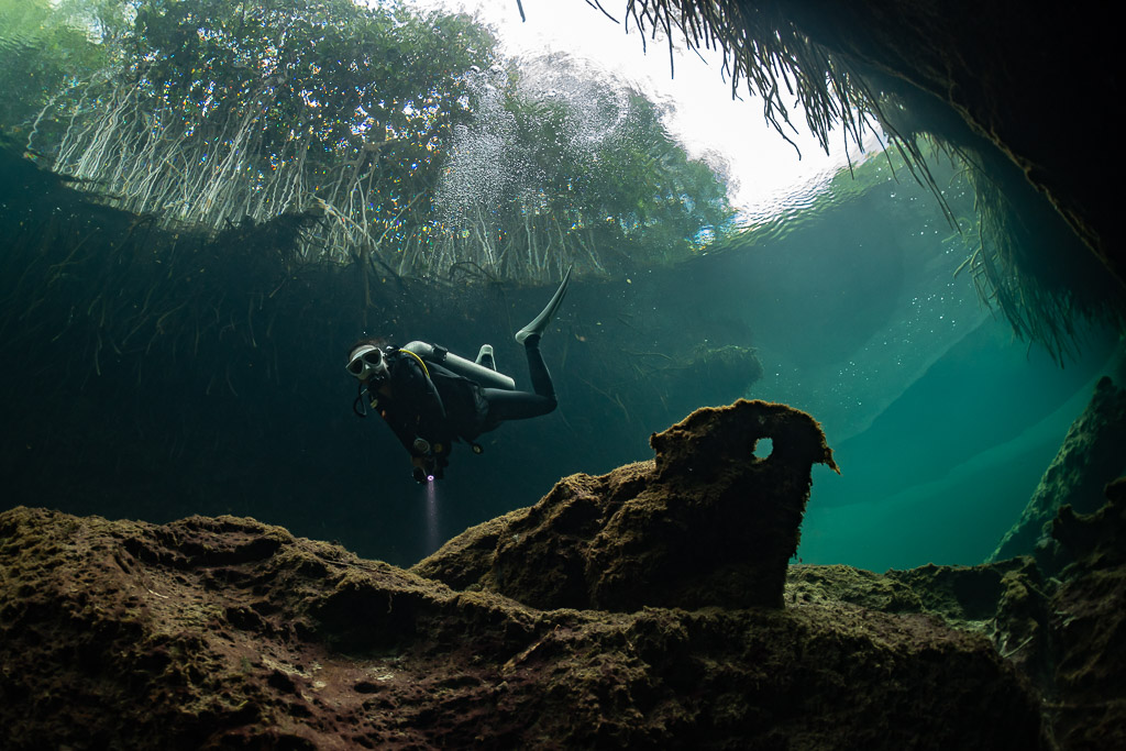 Plongeur avec lampe au-dessus des rochers sous l’ouverture d’un cénote bordé de mangrove, Casa Cenote, Quintana Roo, Mexique
